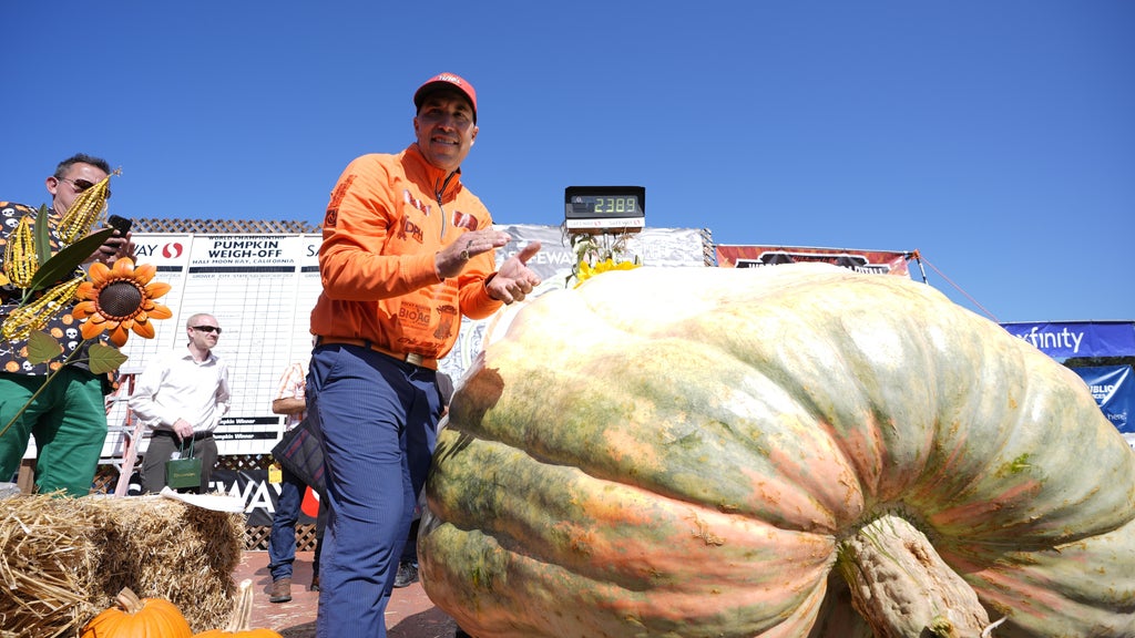 Minnesota man drives hauls giant pumpkin over 2,000 miles to California competition — CBS Bay Area (KPIX), Lafayette Community news