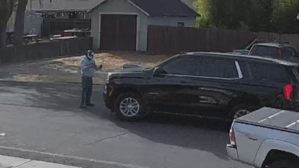Woodland police dispute DHS account of ICE agent's collision with pedestrian — CBS Bay Area (KPIX), Lafayette Health news