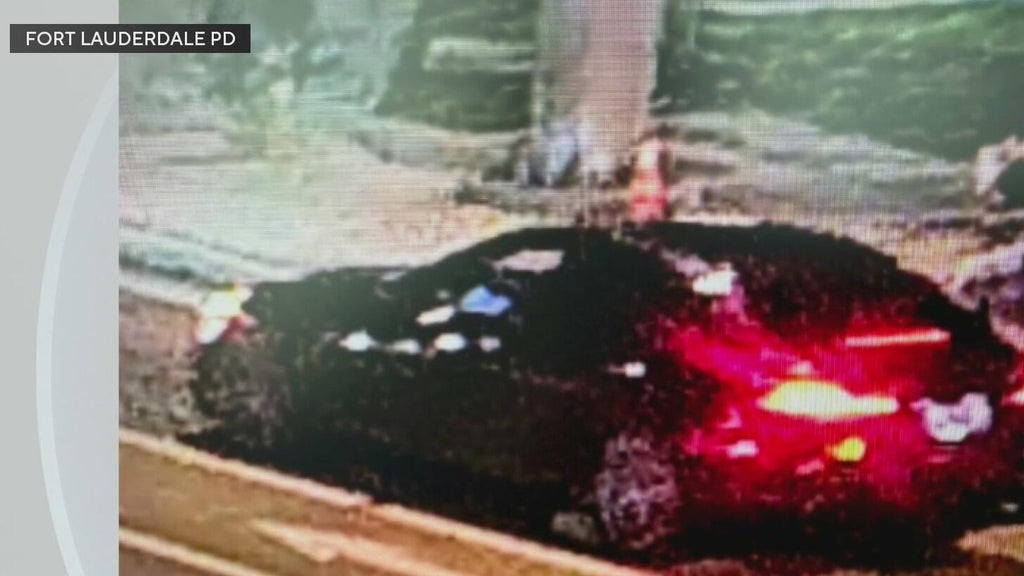 Police seek Mercedes in deadly Fort Lauderdale hit-and-run — CBS Miami, Lafayette Community news