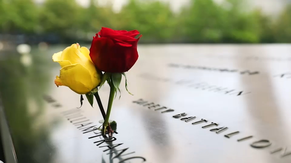 Second 9/11 victim identified with breakthrough genetic genealogy, NYC officials say
— ABC 7 Bay Area, Lafayette Community news