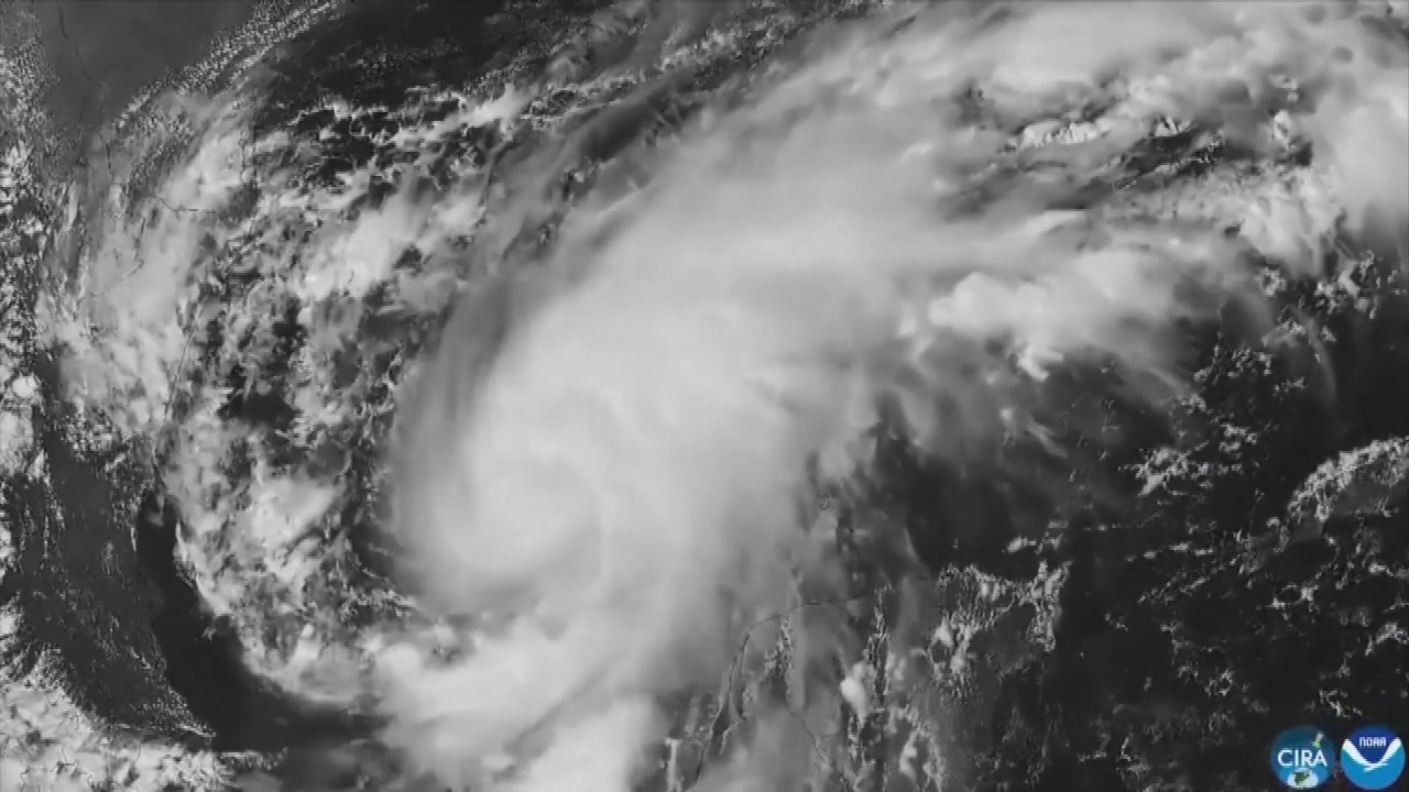 Hurricane Isaias: Residents board up windows and National Guard troops deploy as storm nears US Gulf Coast
— ABC 7 Bay Area, Lafayette Sports news