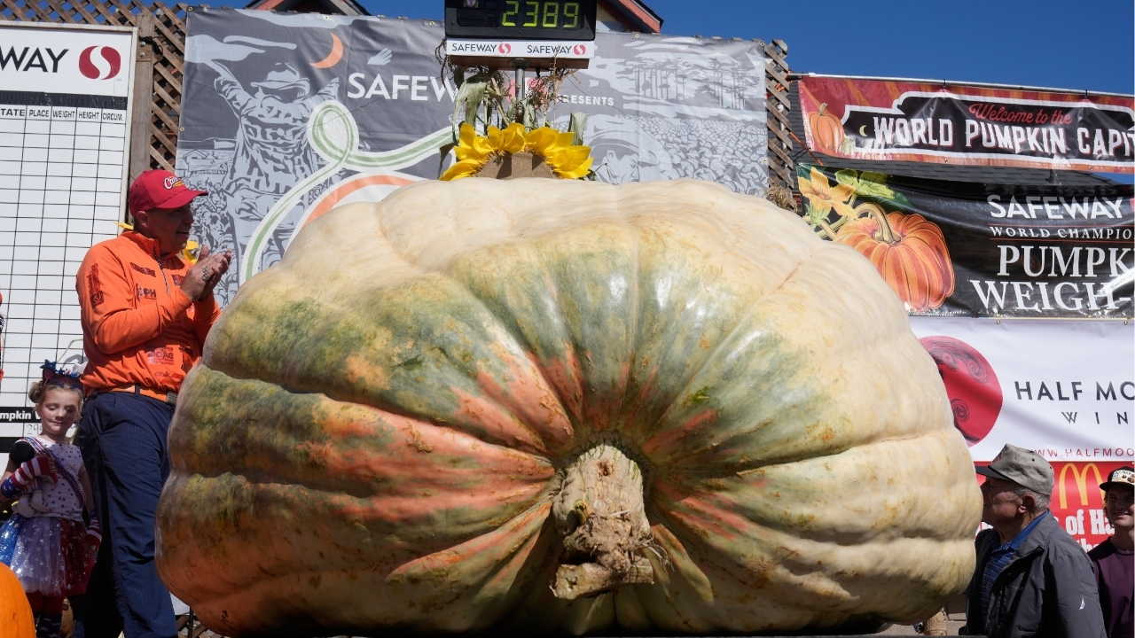 A giant pumpkin named Rocky gives a champion grower his California comeback
— ABC 7 Bay Area, Lafayette Schools news