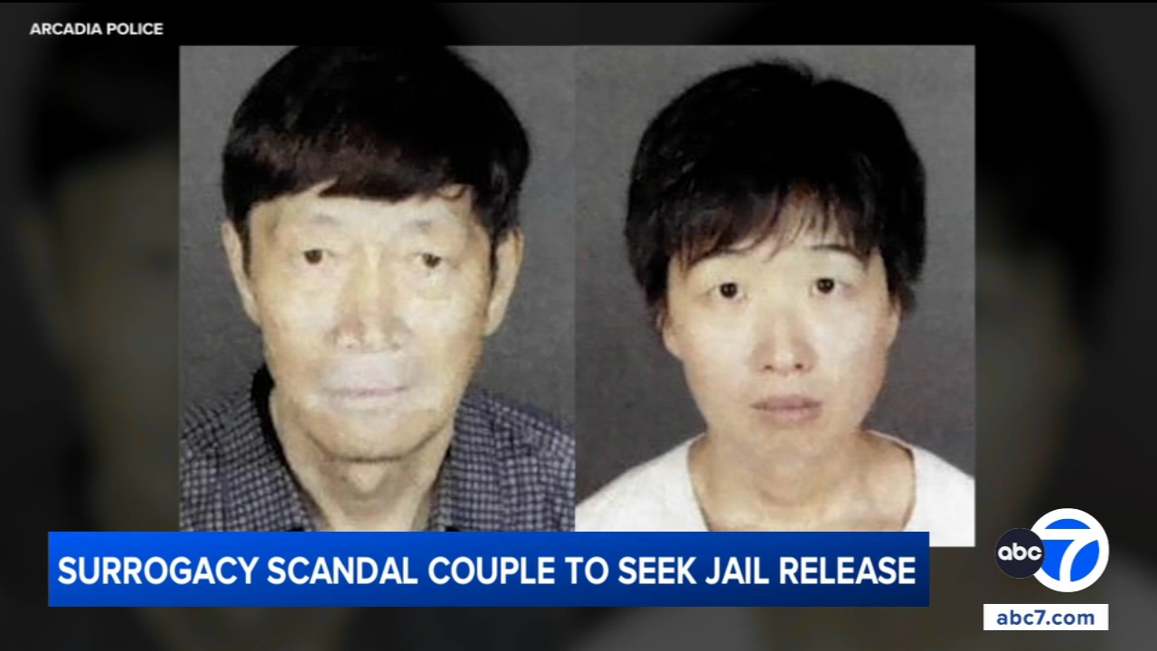 California couple accused in surrogacy scandal to seek release from jail, attorneys say
       — ABC 7 Bay Area, Lafayette Community news