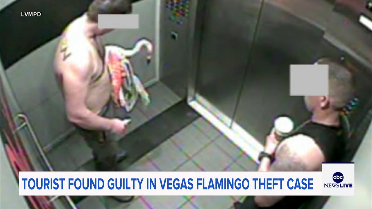 Man who snatched Peachy the flamingo from Las Vegas hotel exhibit found guilty of animal cruelty
— ABC 7 Bay Area, Lafayette Arts news