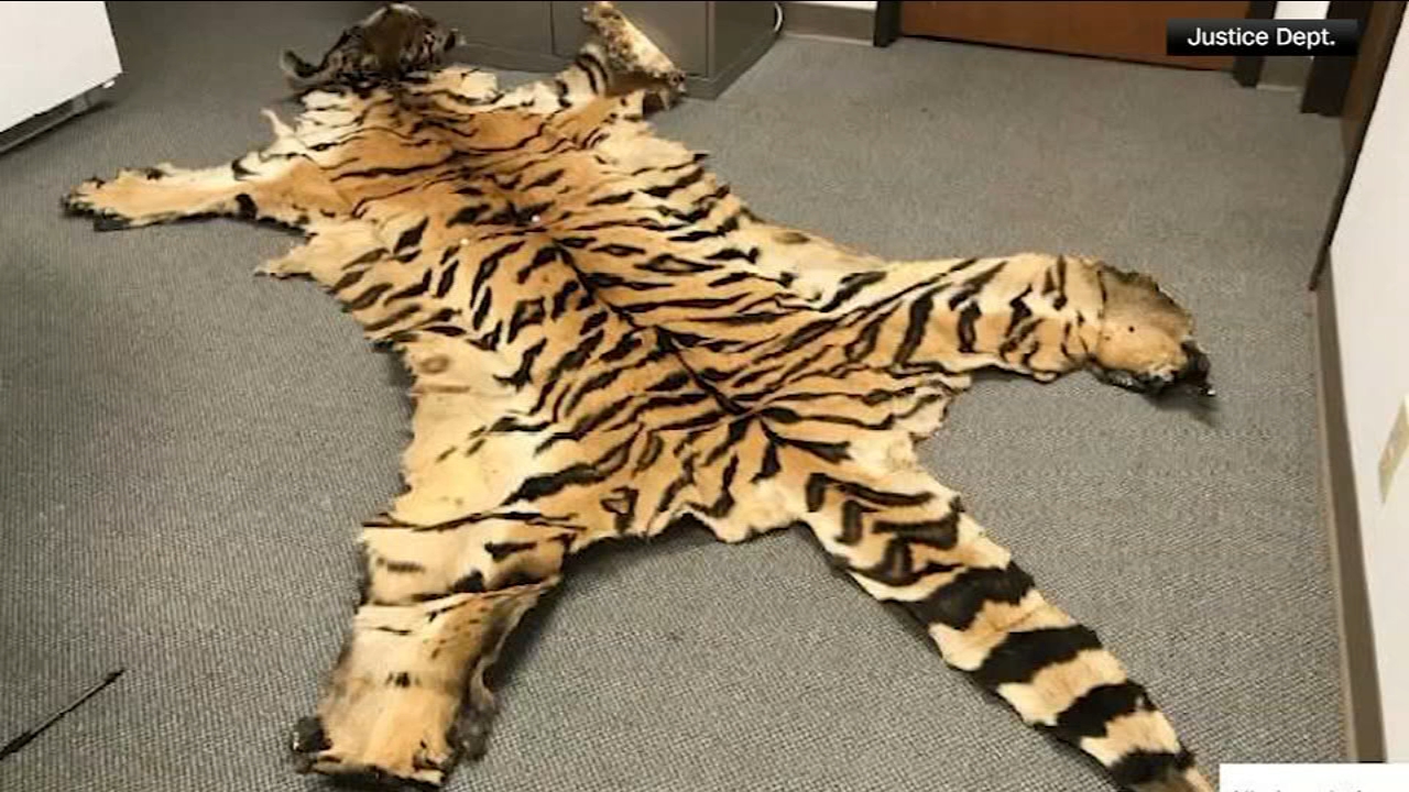 California couple pleads guilty to trafficking wildlife
— Lafayette Community news