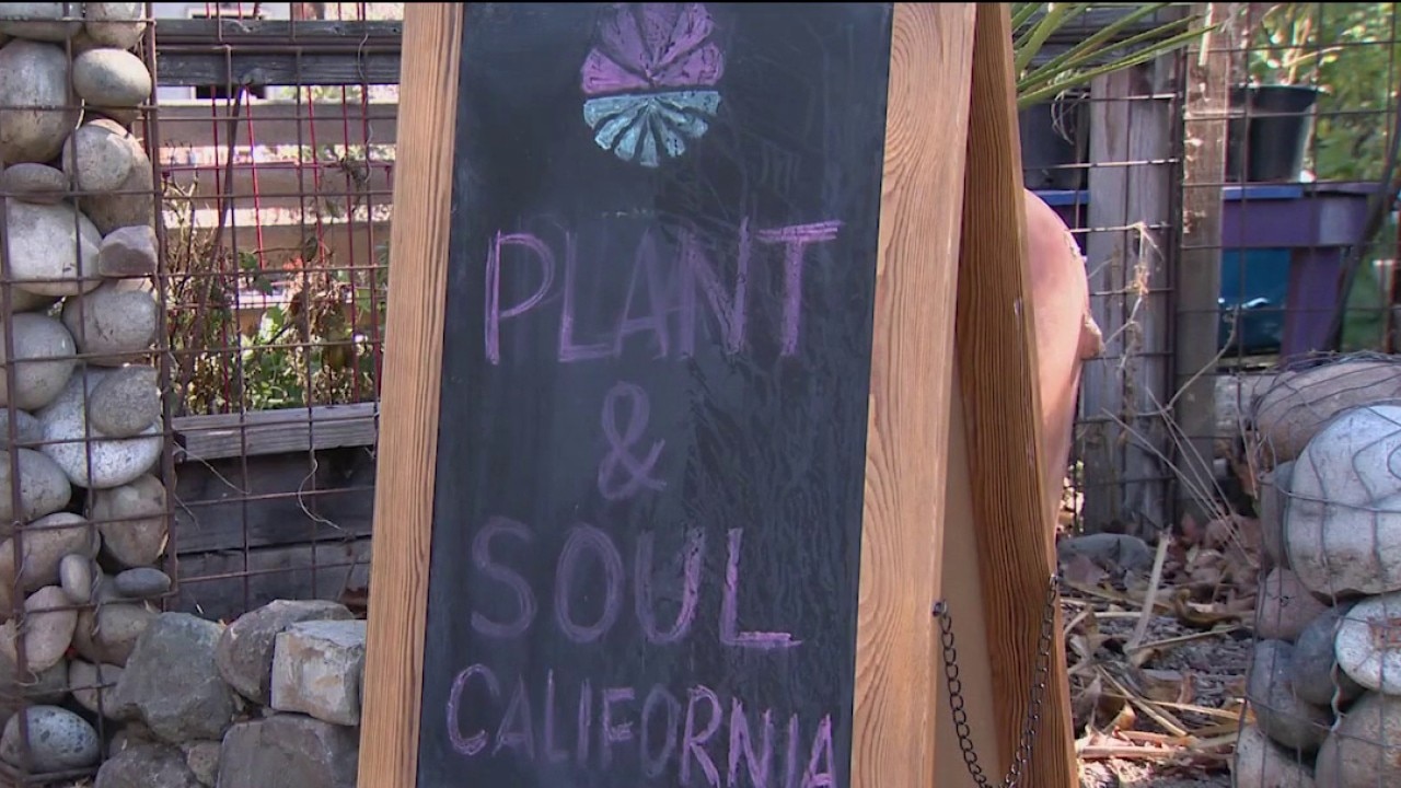 San Jose community garden faces possible eviction — KTVU FOX 2 Bay Area, Lafayette Schools news