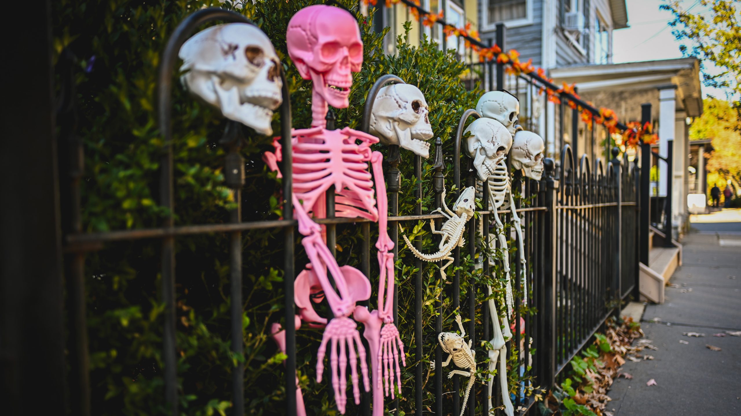 America's best cities for Halloween, ranked — KTVU FOX 2 Bay Area, Lafayette Community news
